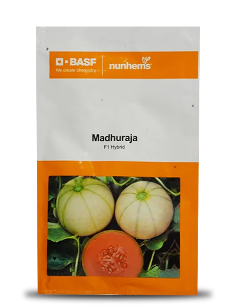 MADHURAJA MUSKMELON SEEDS product  Image