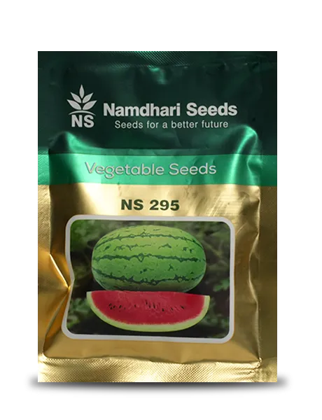 NS 295 F1 HYBRID WATERMELON SEEDS, RIND TYPE LIGHT GREEN RIND WITH DARK GREEN STRIPES product  Image