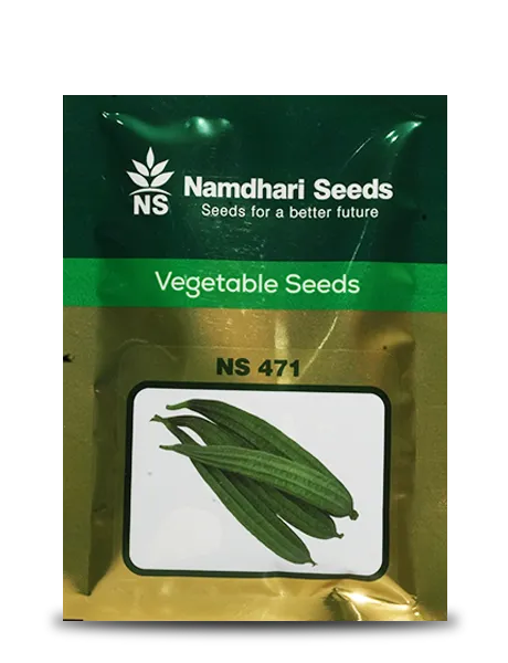 NS 471 RIDGE GOURD product  Image 1