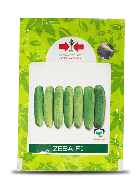 ZEBA CUCUMBER product  Image 1