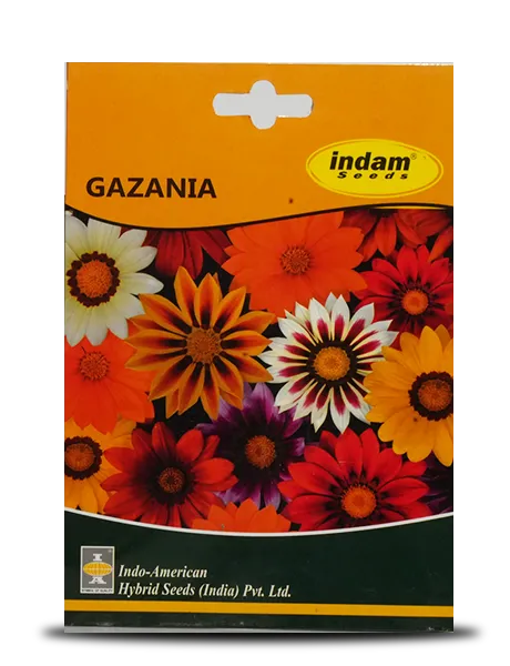 GAZANIA product  Image 1