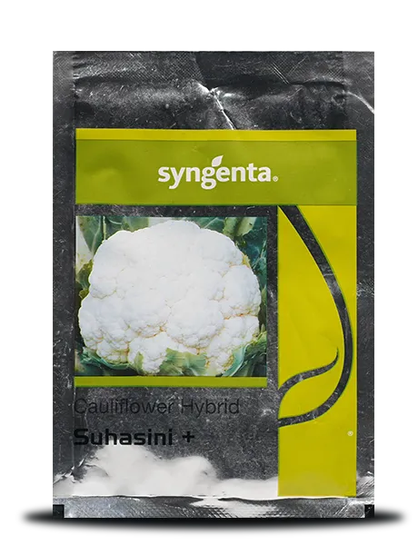 SUHASINI PLUS CAULIFLOWER product  Image 1