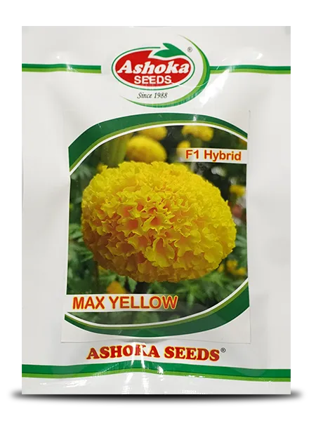 MAX YELLOW MARIGOLD product  Image