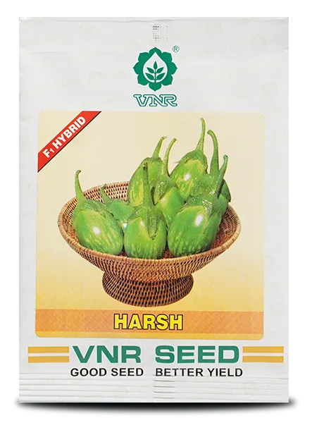 VNR HARSH BRINJAL SEEDS product  Image