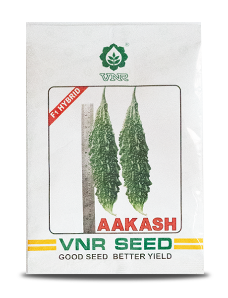 VNR AKASH BITTER GOURD SEEDS (आकाश करेला ) product  Image 1