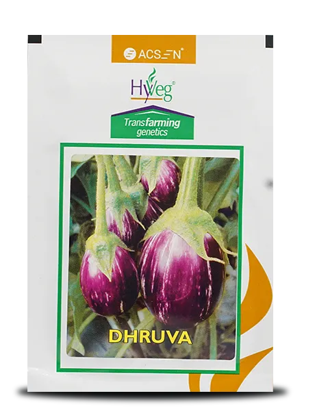 DHRUVA BRINJAL product  Image 1