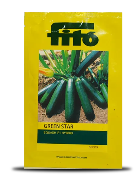 GREEN STAR SQUASH product  Image 1