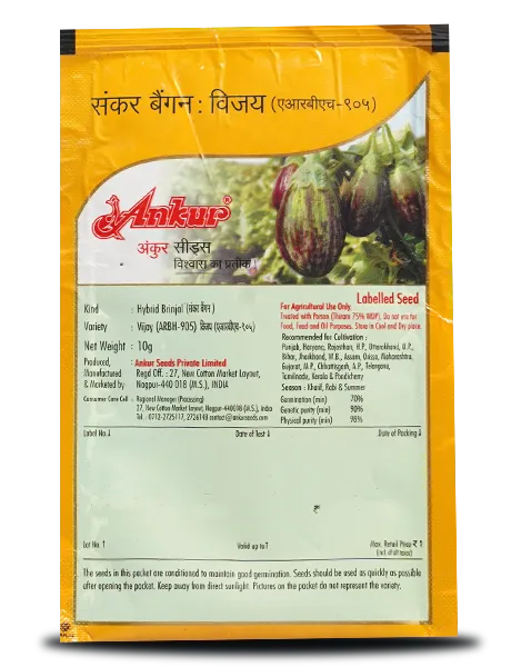 VIJAY BRINJAL product  Image 2