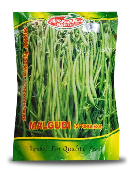 MALGUDI BEANS product  Image 1