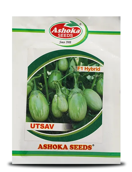 UTSAV BRINJAL product  Image 1