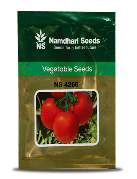 NS 4266 TOMATO product  Image 1