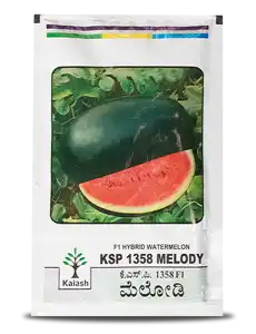 MELODY F1 WATERMELON (KSP 1358) product  Image 1