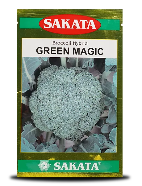 SAKATA GREEN MAGIC HYBRID BROCCOLI SEEDS, UNIFORM BROCCOLI CURD product  Image 1