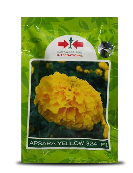 Pila genda fool. Pila marigold flower seeds. High quality. at Rs