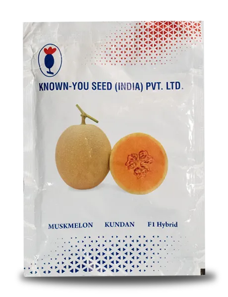 KUNDAN F1 HYBRID MUSKMELON SEEDS product  Image