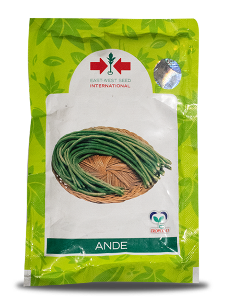 ANDE YARD LONG BEANS product  Image 1