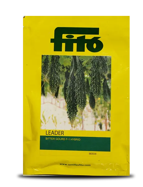 LEADER BITTERGOURD ( लीडर करेला ) product  Image 1