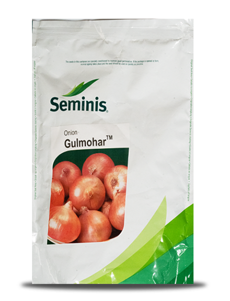 GULMOHAR ONION SEEDS product  Image 1