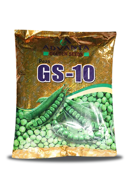 GS-10 PEA SEED product  Image 1