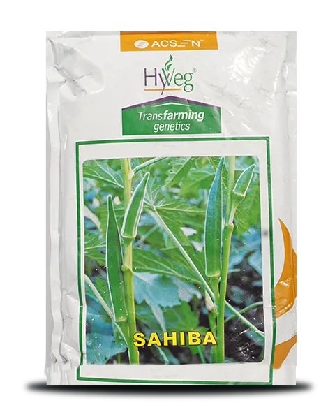 SAHIBA OKRA SEEDS ( साहिबा भिंडी ) product  Image 1