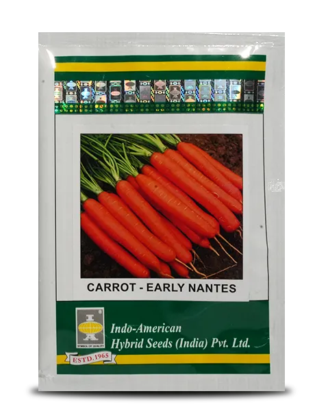 CARROT EARLY NANTES product  Image 1