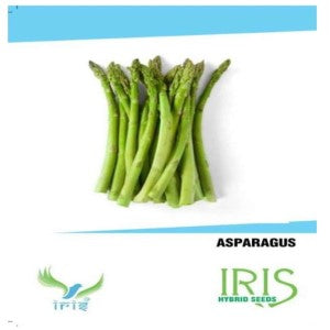 IRIS HYBRID VEGETABLE SEEDS ASPARAGUS product  Image 1