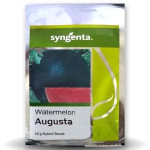 AUGASTA HYBRID WATERMELON SEEDS product  Image 1