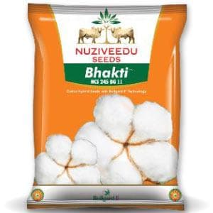 Buy Cotton Seeds Online at Best Price in India