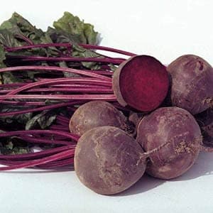 BORO BEETROOT product  Image 3