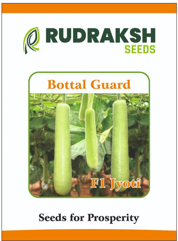 RUDRAKSH F1 JYOTI BOTTLE GOURD (CYLINDRICAL) SEEDS product  Image 3