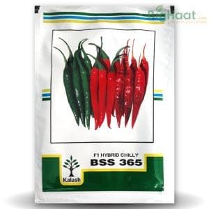 KALASH BSS 365 CHILLI SEEDS product  Image 1