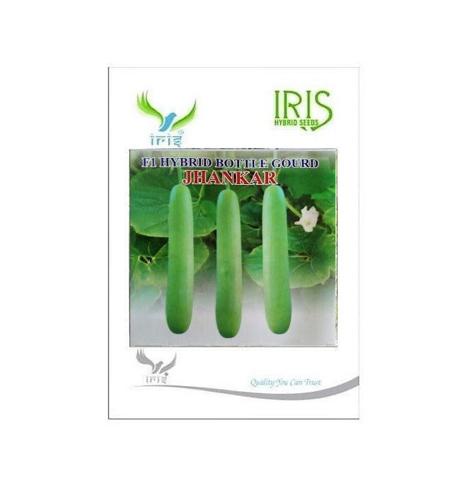 IRIS HYBRID VEGETABLE SEEDS F1 HYBRID BOTTLE GOURD JHANKAR (LONG) product  Image 2