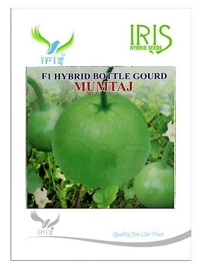 IRIS HYBRID VEGETABLE SEEDS F1 HYBRID BOTTLE GOURD MUMTAJ (ROUND) product  Image 2