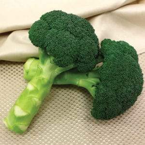 SAKATA GREEN MAGIC HYBRID BROCCOLI SEEDS, UNIFORM BROCCOLI CURD product  Image 4