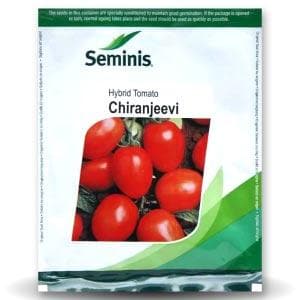 CHIRANJEEVI TOMATO ( चिरंजीवी टमाटर ) product  Image