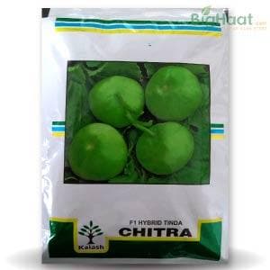CHITRA TINDA SEEDS product  Image 1