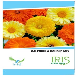 IRIS HYBRID FLOWER CALENDULA DOUBLE MIX SEEDS product  Image