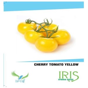 IRIS HYBRID VEGETABLE SEEDS CHERRY TOMATO YELLOW product  Image 1