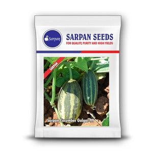 SARPAN CUCUMBER GULGAI - 99 (SEEDS) product  Image 1