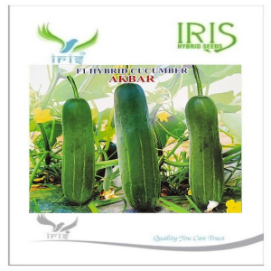 IRIS HYBRID VEGETABLE SEEDS F1 HYBRID CUCUMBER AKBAR product  Image 1