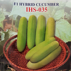 IRIS HYBRID VEGETABLE SEEDS F1 HYBRID CUCUMBER IHS-035 product  Image 1