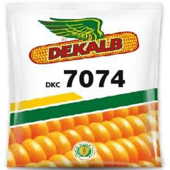 DEKALB-7074-CORN_medium.jpg?v=1601731184