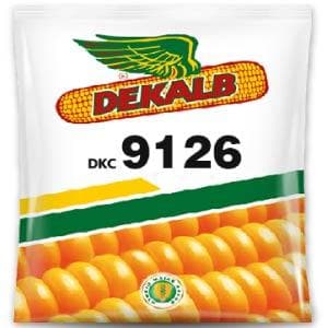 DEKALB 9126 CORN product  Image