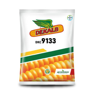 DEKALB 9133 CORN product  Image