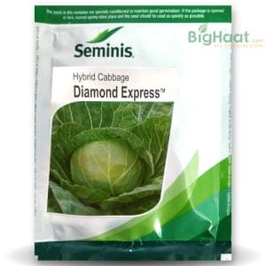 DIAMOND EXPRESS CABBAGE product  Image 1