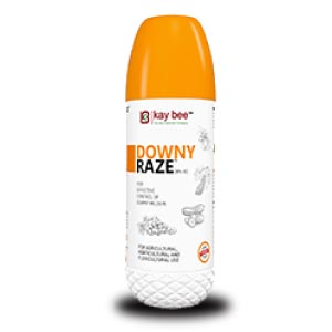 DOWNY RAZE (BIO FUNGICIDE - DOWNY MILDEW SPECIAL) product  Image 1