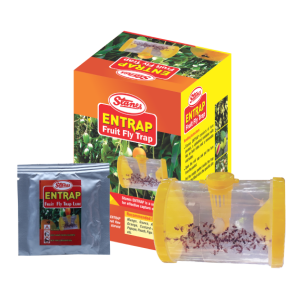 T.STANES ENTRAP FRUIT FLY TRAP product  Image 1