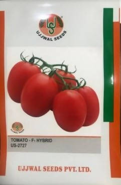 UJJWAL TOMATO US 2727 F1 HYBRID SEEDS product  Image