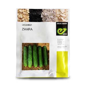 ZAARA F1 CUCUMBER product  Image 1