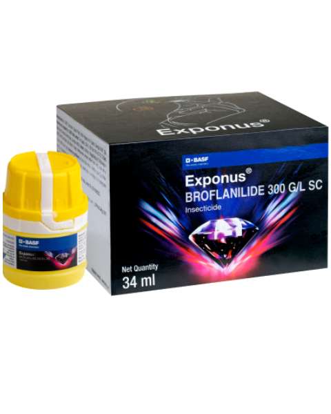 EXPONUS INSECTICIDE product  Image 1